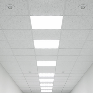 CLEANING CEILINGS AND WALLS