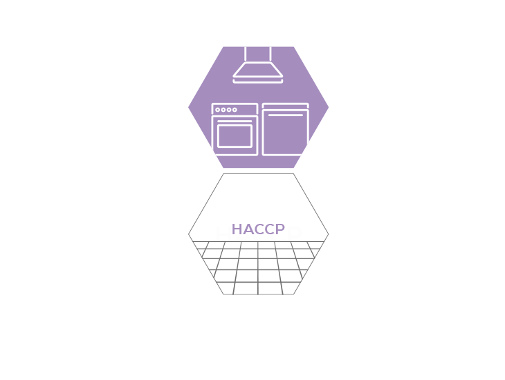 Kitchen cleaner